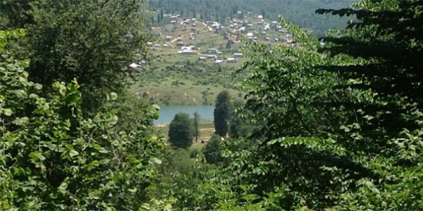 Orman topraklar� i�in veri bankas� kuruldu