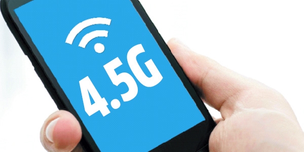 Fibersiz 4.5G köksüz ağaç gibi