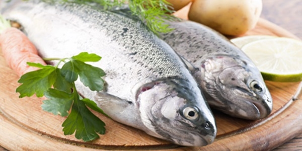 �i� bal�k bunamaya zemin haz�rl�yor