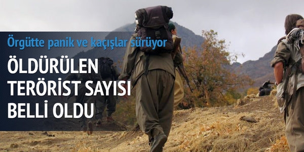Terör saldırılarında 58 günlük bilanço