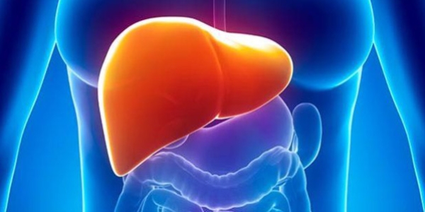 Karacier kanserinin en sk nedeni hepatitler