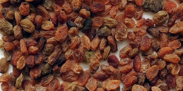Çekirdeksiz kuru üzüm ihracatında 6 sezonun rekoru kırıldı