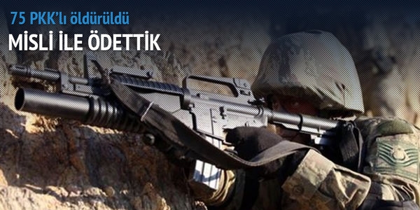 75 PKK'lı öldürüldü, 250'si sıkıştırıldı