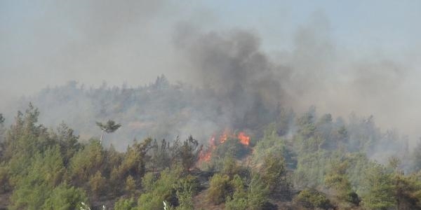 Hatay'da orman yangını: Bölgeye yakın bazı evler tahliye edildi
