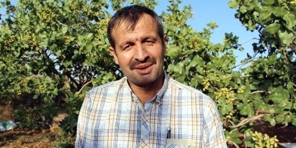 Ter�r olaylar� Siirt'ten �in'e f�st�k ihracat�n� etkiledi