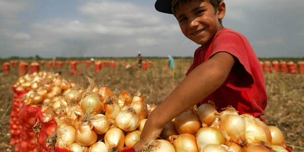 So�an �reticisi 'depo deste�i' istiyor