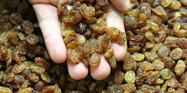 Kuru üzüm fiyatı iki katına çıktı
