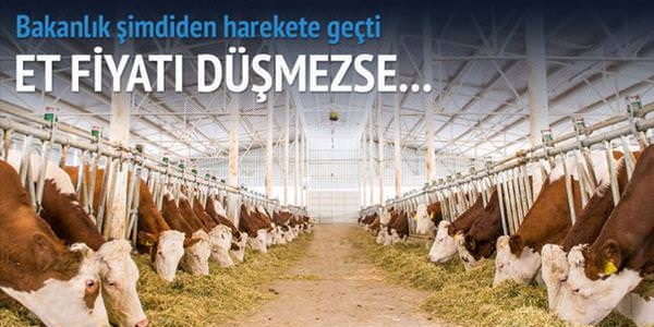 Et fiyatı düşmezse bakanlık müdahale edecek