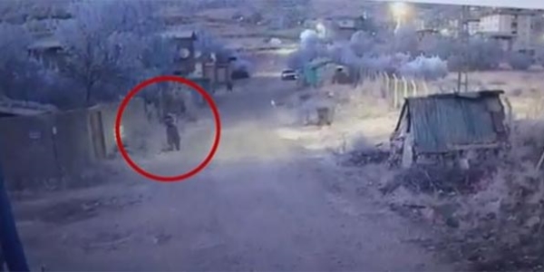 PKK'dan üç ilde saldırı: 2'si polis 5 yaralı