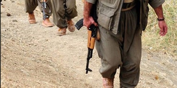 Van'a eyleme gelen silahlı 2 PKK'lı yakalandı