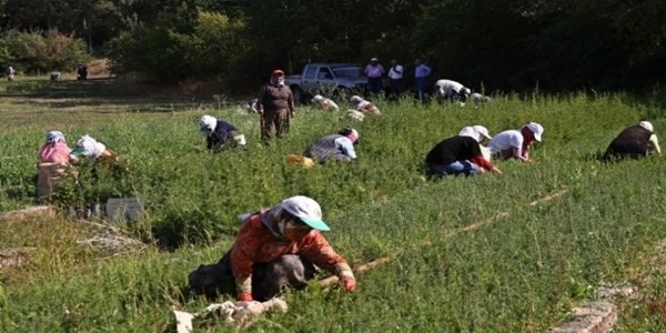 Erzurum'da 3 bin 500 geçici işçi alınacak