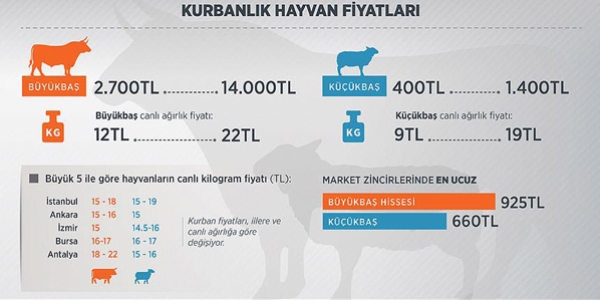 Antalya büyükbaş hayvan canlı kilogram fiyatında Türkiye'yi solladı