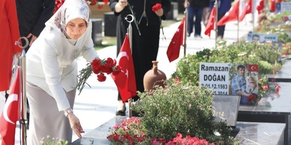 Cizre'ye Soma modeli
