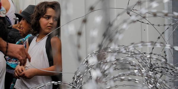 T�rk �irket 500 bin avroluk 'jilet tel' talebini reddetti