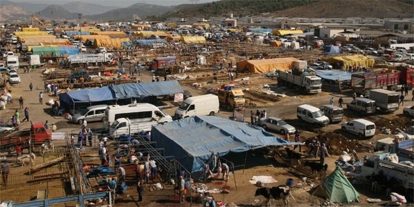 Kurban kesim kurallarına uymayanlara 2 bin 511 lira ceza