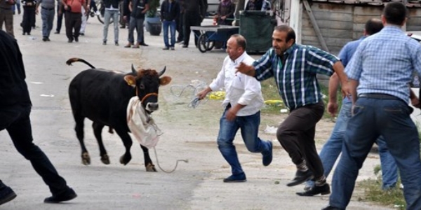 'Kaçan kurbanın peşinden koşmayın'
