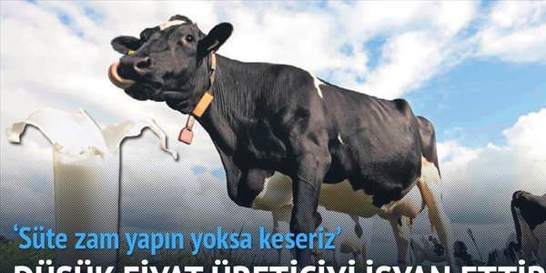 'Süte zam yapın yoksa damızlıkları keseriz'