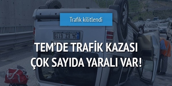 TEM otoyolunda trafik kazası: 8 yaralı
