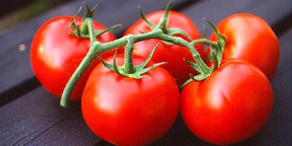 Domates prostat sağlığını olumlu etkiliyor