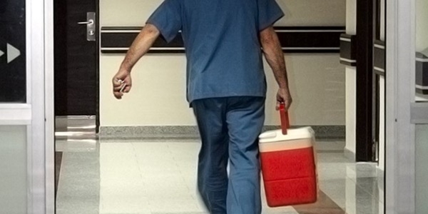 Türkiye'de 28 bin hasta organ nakli bekliyor