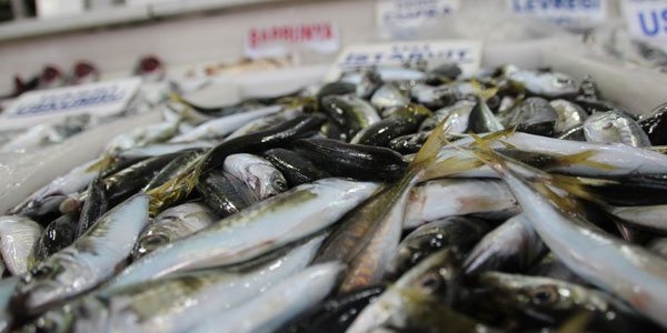 Balık az olunca fiyatlar düşmedi