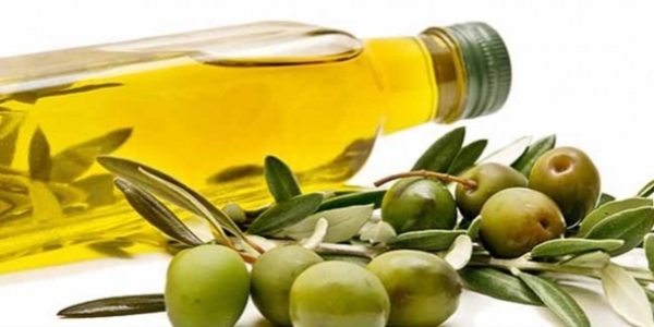 Zeytin'de bu sezon artış bekleniyor