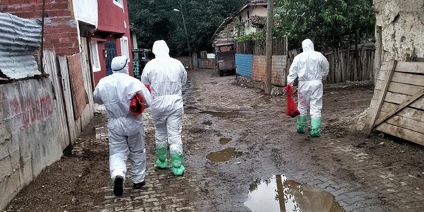 Tokat'te itlaf edilen kanatl� hayvanlar i�in tazminat �denecek