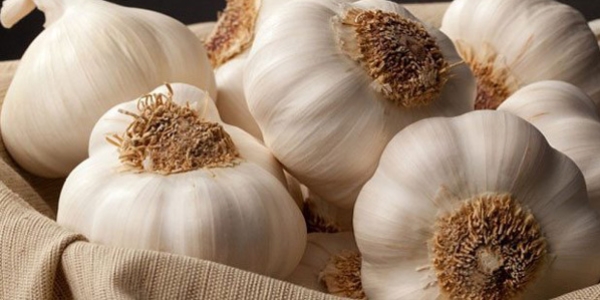 'Sar�msak ihracat�'nda �in ile yar��am�yoruz'