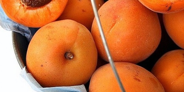 TARS�M'den kay�s� �reticisine hasar �demesi