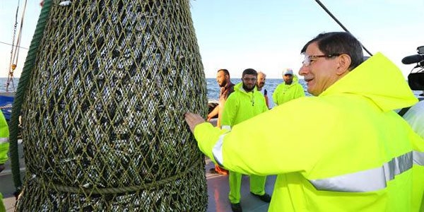 Davutoğlu'nun çektiği ağdan 80 kasa istavrit çıktı