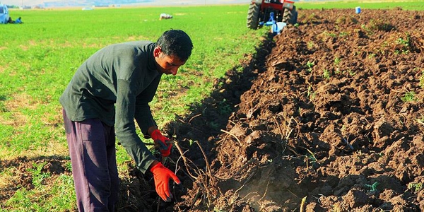 Suriyeli öğretmenin öğrenci hasreti