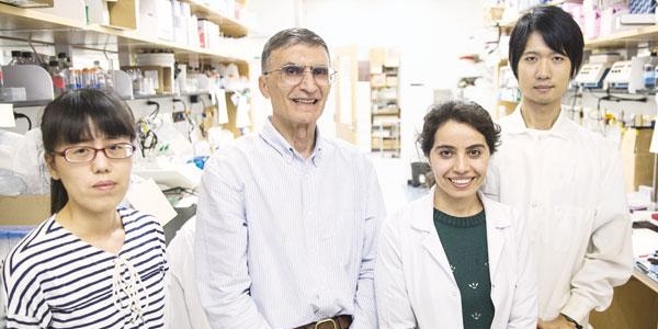 'Bu Nobel Türkiye'nin'