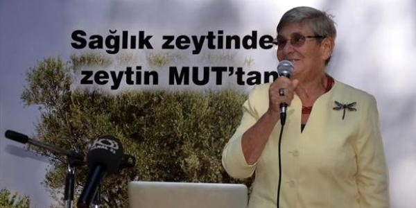 Karatay: Zeytin a�ac�n� kesmek cinayettir