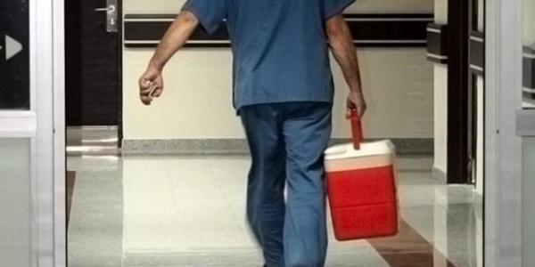Kadavradan organ bağışı yetersizliği canlı donöre yöneltiyor