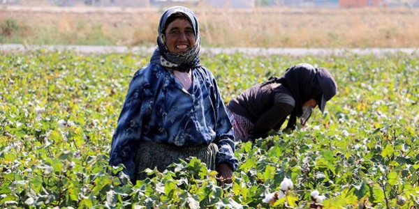 Tarımsal üretimin fedakar kadınları