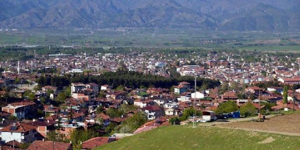 Yeni konutlara ağaç dikme zorunluluğu