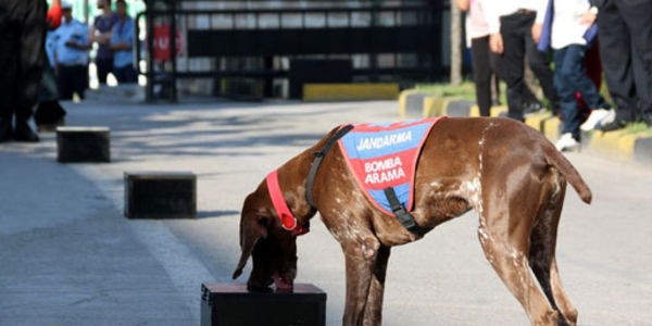 Mitinglere İHA'lı köpekli güvenlik önlemi