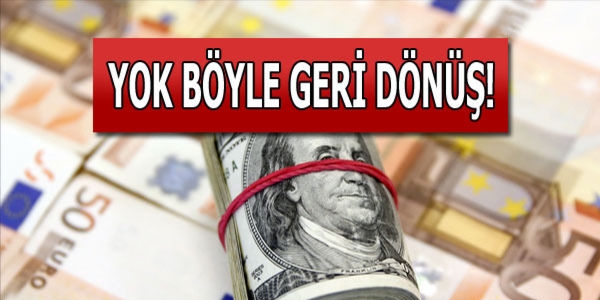 Euro iki ayın dibinde