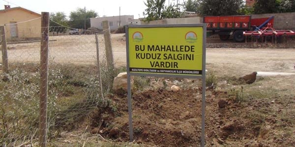 Mardin'de bir köy kuduz karantinası altına alındı