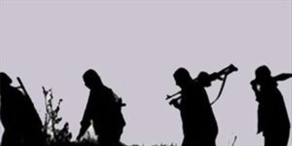 Polis ve köy korucusunu şehit eden PKK'lı yakalandı