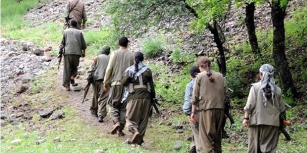 PKK'nın bölge sorumlusu yakalandı