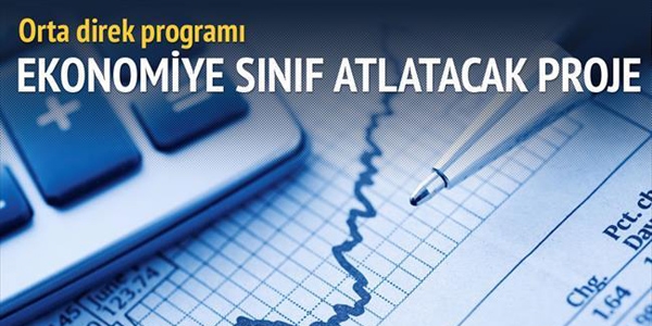 Ekonomiye orta direk programı