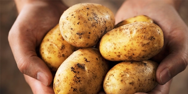 Patates fiyatında anormal artış olmayacak