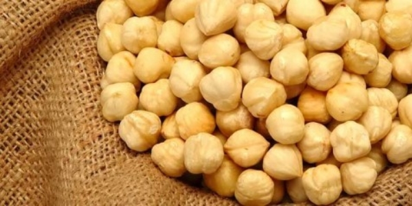 Fındık fiyatları 14 lirayı aştı