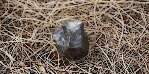 Bingöl'e düşen göktaşı zenginlik hayali oldu