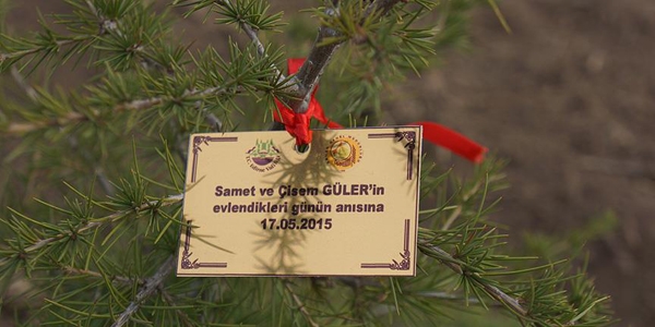 Yeni çift ve bebekler için fidan kampanyası