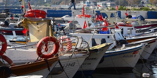Limanlarda 'mavi kart' uygulaması