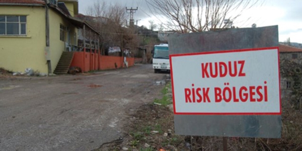 Bingöl'de 1 köy kuduz karantinası altına alındı