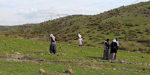 �evre illerden gelen y�zlerce ki�i g�kta�� ar�yor