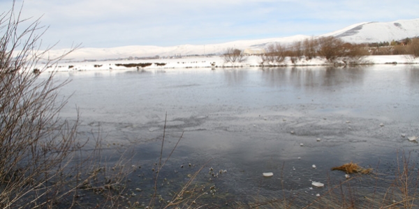 Ardahan'da kura nehri buz tuttu